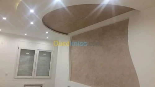  Déco peintre avec  pestoli airless