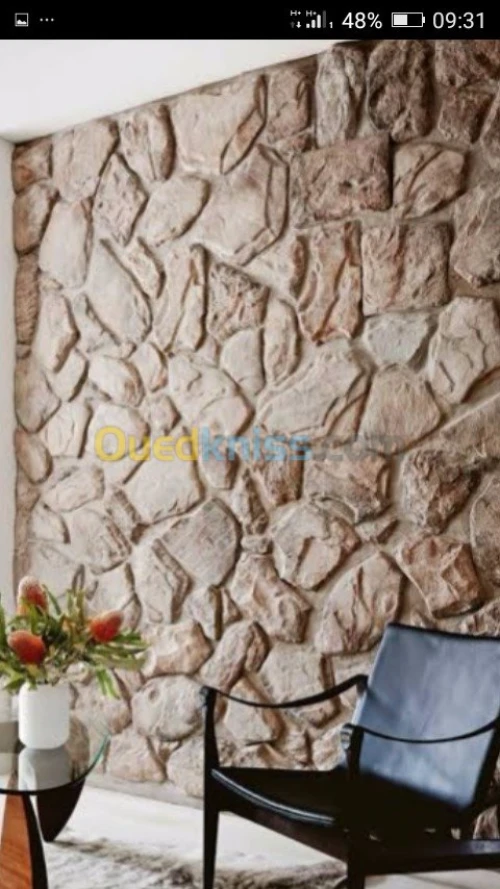 Placo plâtre peinture moderne