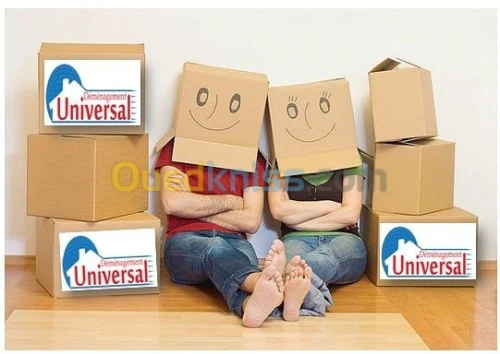 Demenageurs professionnels  100%