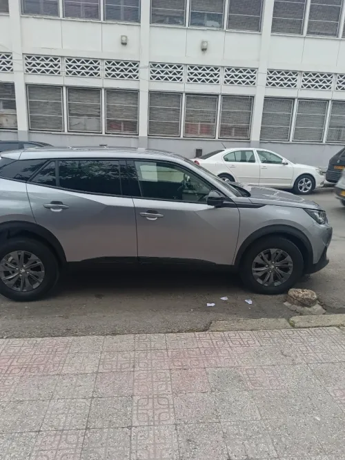 Peugeot 2008 2022 Activ
