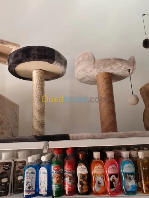 Griffoir et arbre à chat