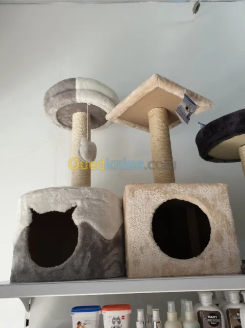 Griffoir et arbre à chat