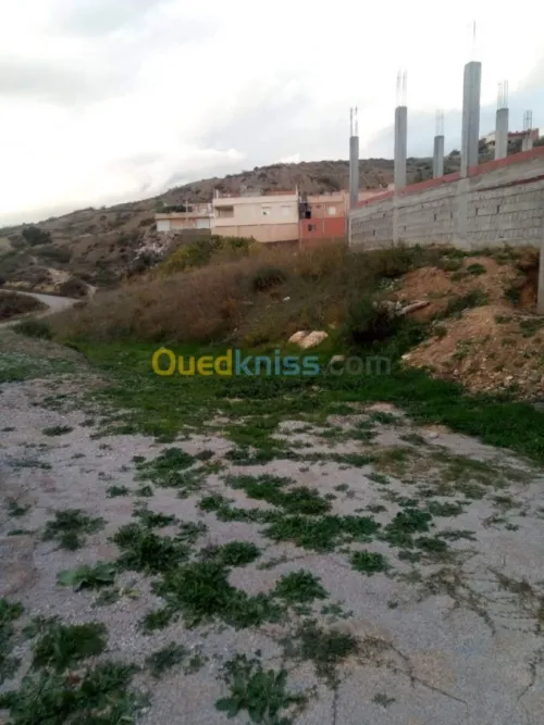 Vente Terrain Sétif Beni chebana