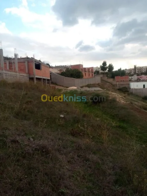 Vente Terrain Sétif Beni chebana