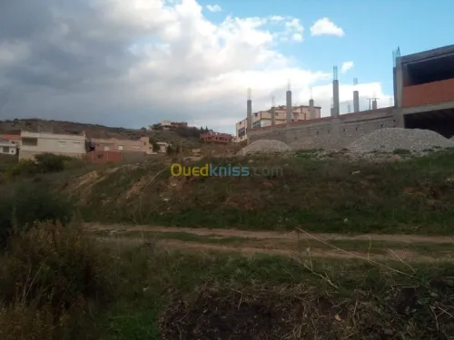 Vente Terrain Sétif Beni chebana