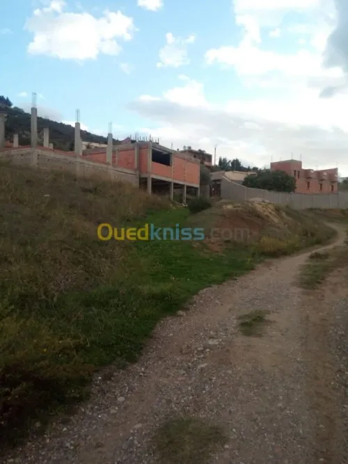Vente Terrain Sétif Beni chebana