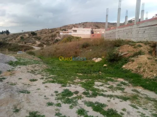 Vente Terrain Sétif Beni chebana