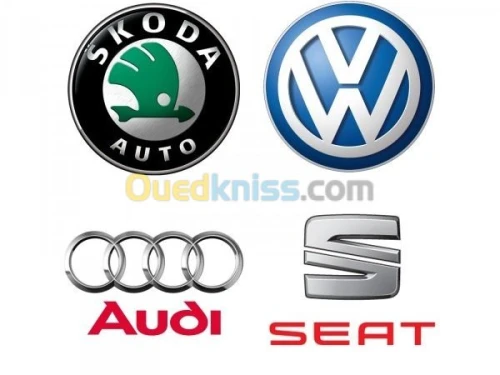 SCANNER & DIAGNOSTIC ,Adblue, FAP, EGR
