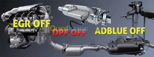 SCANNER & DIAGNOSTIC ,Adblue, FAP, EGR