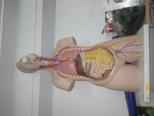 Équipements de crèches 