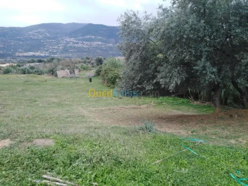 Vente Terrain Bejaia Ifenain ilmathen