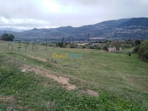 Vente Terrain Bejaia Ifenain ilmathen