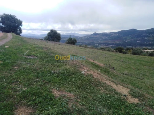 Vente Terrain Bejaia Ifenain ilmathen