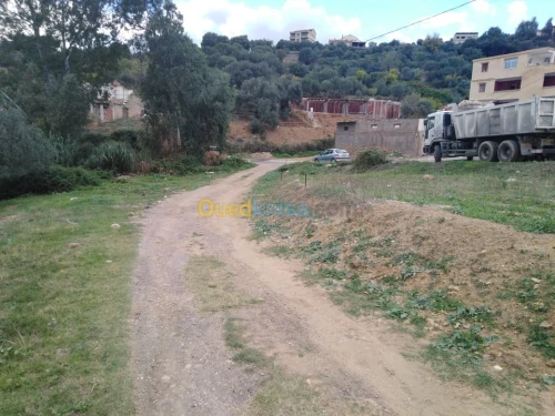Vente Terrain Bejaia Ifenain ilmathen