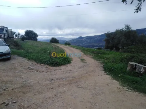 Vente Terrain Bejaia Ifenain ilmathen