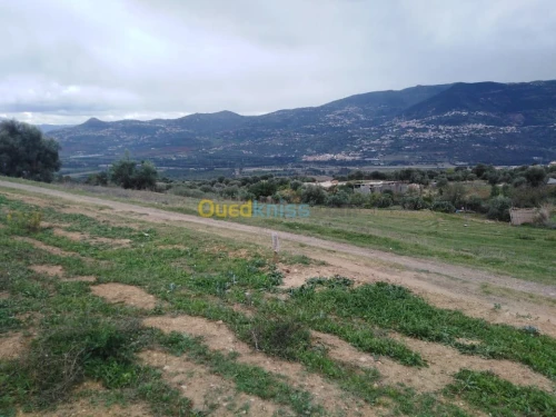 Vente Terrain Bejaia Ifenain ilmathen
