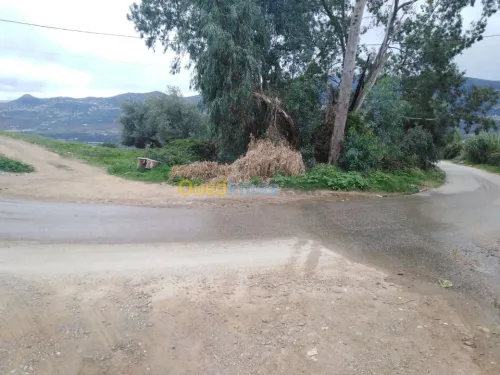 Vente Terrain Bejaia Ifenain ilmathen