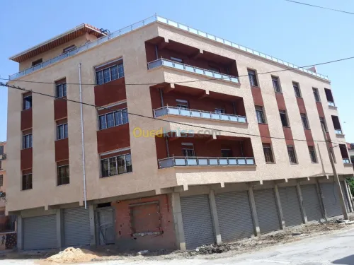 Facade monocouche