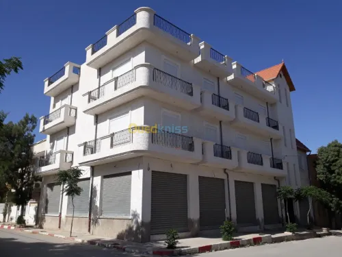 Facade monocouche