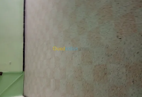 Ponsage et lustrage des sols