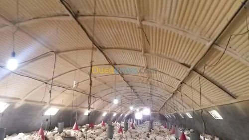 La mousse de polyurèthane projection 