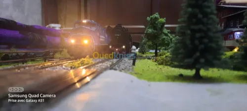 Trains miniatures 