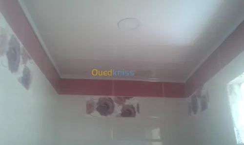 plafond pvc