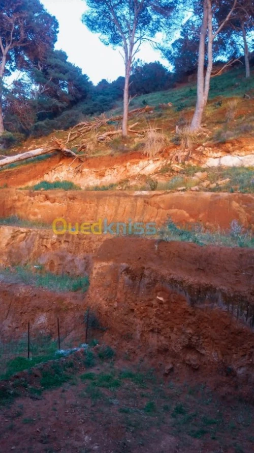 Vente Villa Tipaza Ain tagourait