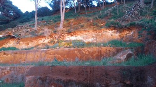 Vente Villa Tipaza Ain tagourait