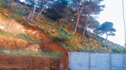 Vente Villa Tipaza Ain tagourait