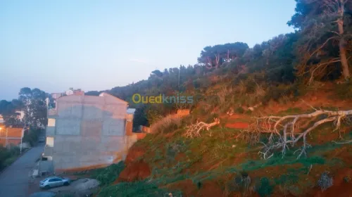 Vente Villa Tipaza Ain tagourait