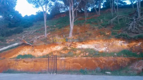 Vente Villa Tipaza Ain tagourait