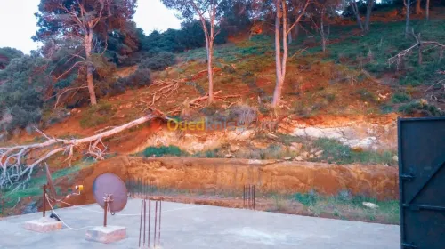 Vente Villa Tipaza Ain tagourait