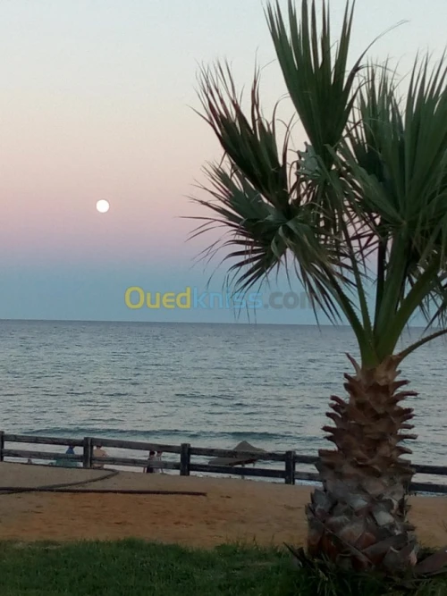 Location Appartement F4 Tunisie