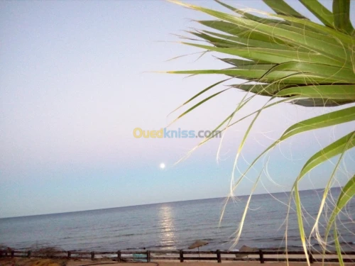 Location Appartement F4 Tunisie