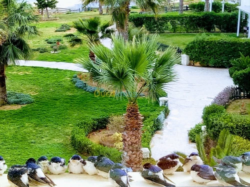 Location Appartement F4 Tunisie