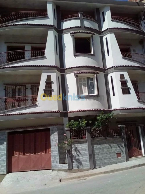 Monocouche plâtre projeté Placo plâtre