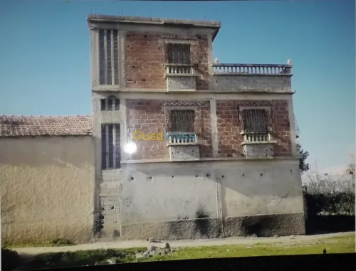 Vente Villa Constantine Constantine