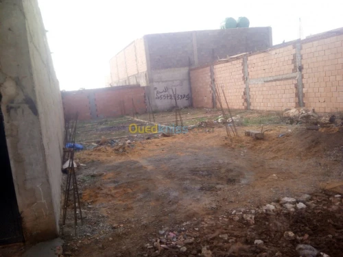 Vente Terrain Oran Ain el bia