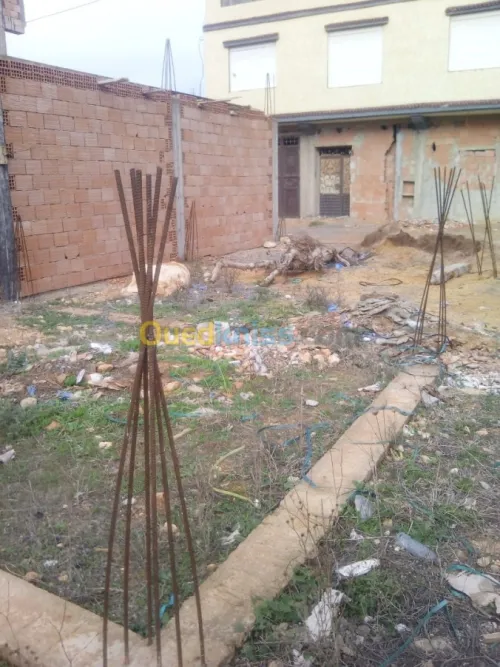 Vente Terrain Oran Ain el bia