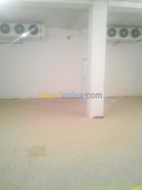 location chambre froid