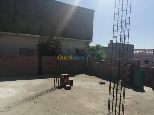 Vente Carcasse Souk ahras Sedrata