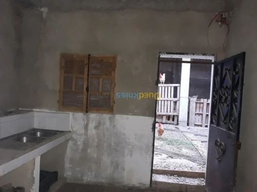 Vente Carcasse Blida Ain romana