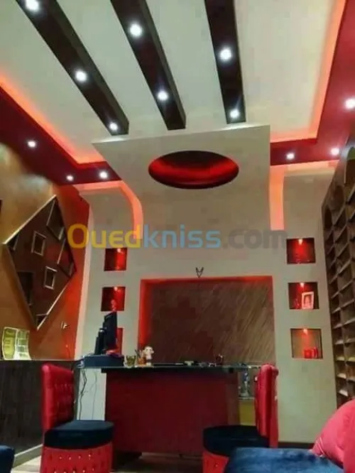 Placo platre+electricite batiment