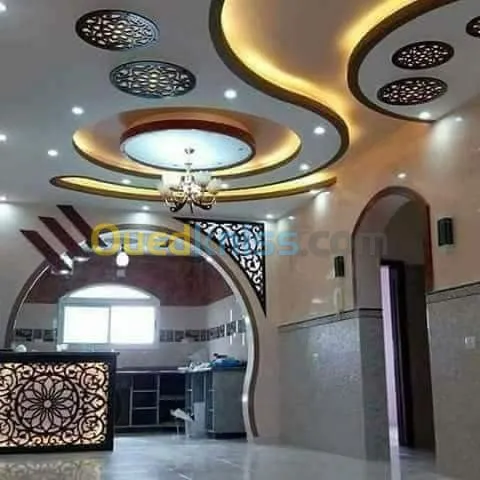 Placo platre+electricite batiment