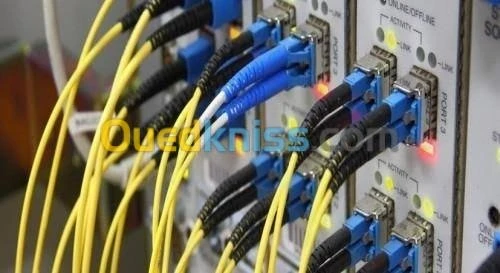 Établissement Installations réseaux 