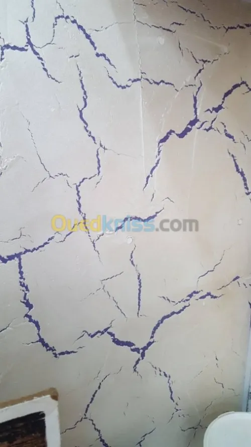 Peinture et Décoration professionel
