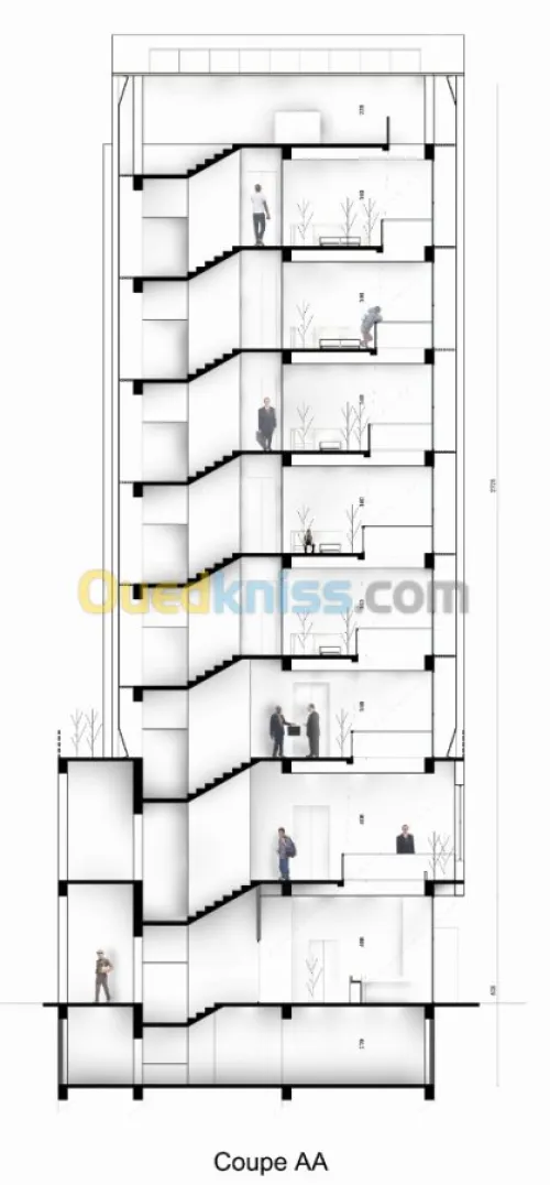 études architecture design  décor