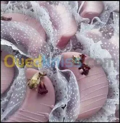 Gâteaux  Prestige & salés