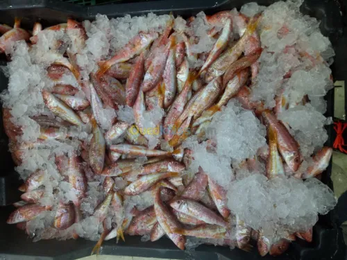  distributions des poissons